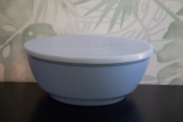 Bowl con Tapa – Práctico y Versátil para Alimentos Frescos y Organizados