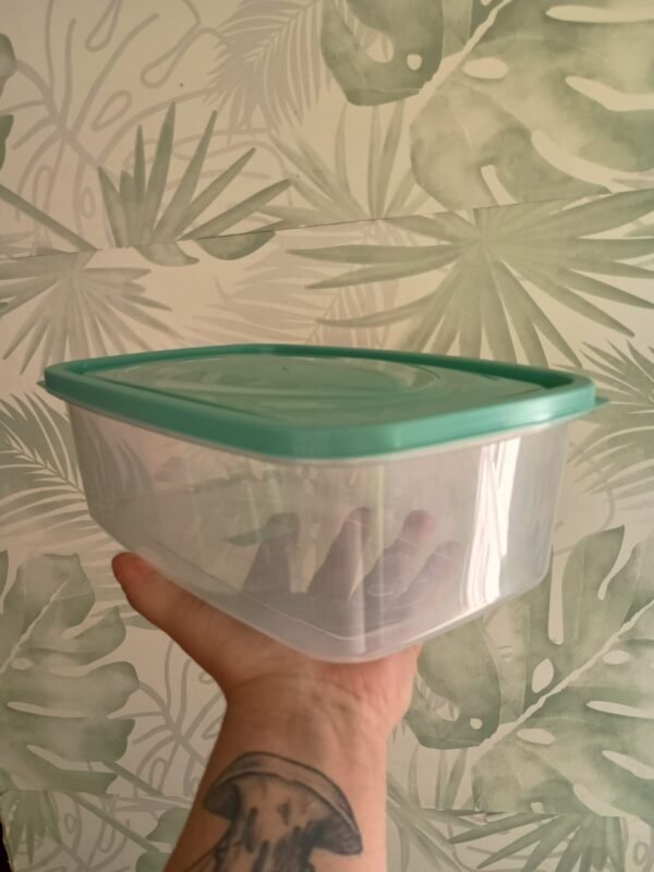 Tupper 3000 cc - Ideal para Almacenaje y Conservación de Alimentos