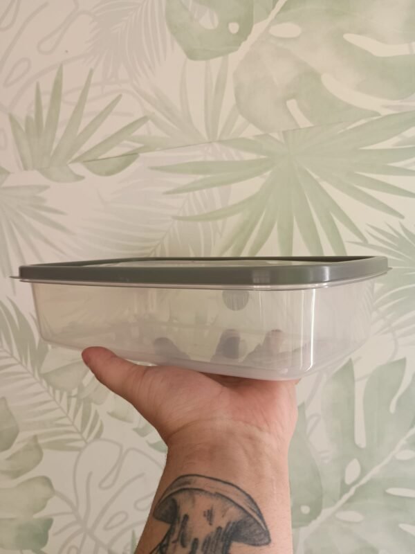 Tupper 2000 cc - Conservación Perfecta de Alimentos para Tu Cocina