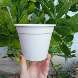 Maceta Número 13 - Ideal para Cultivo de Plantas en Interiores y Exteriores