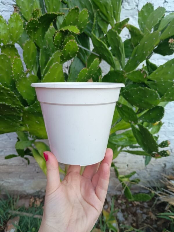 Maceta Número 13 - Ideal para Cultivo de Plantas en Interiores y Exteriores