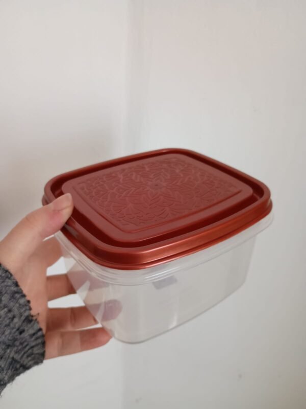 Tupper Hermético 1000ml